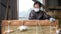 Gyokuro – A Look At Traditional Tea Shading