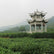 Jingshan Garden