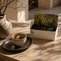 The Top 5 Teas For Focus and Concentration