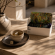 The Top 5 Teas For Focus and Concentration