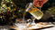 What does Chamomile tea taste like?