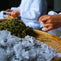 Understanding Flavourings in Tea
