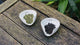 Black Tea vs Green Tea Comparison
