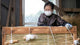 Gyokuro – A Look At Traditional Tea Shading