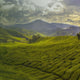 Explore something new