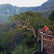 Chenjia Garden,