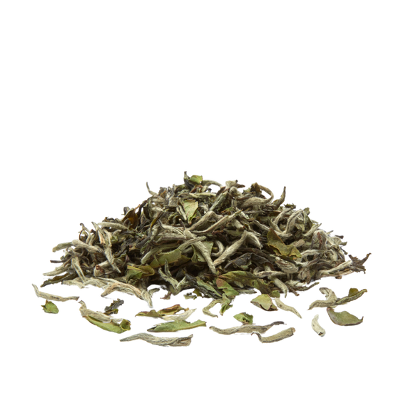 Darjeeling First Flush