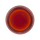 Decaffeinated Ceylon