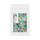 Chamomile