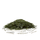 Sencha