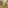 Thumbnail for Lemongrass & Ginger Tea Bags