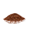 Rooibos, Loose Tea