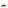 Thumbnail for Rooibos, 50 Teabags