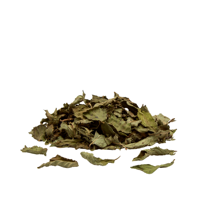 Peppermint Tea Leaf