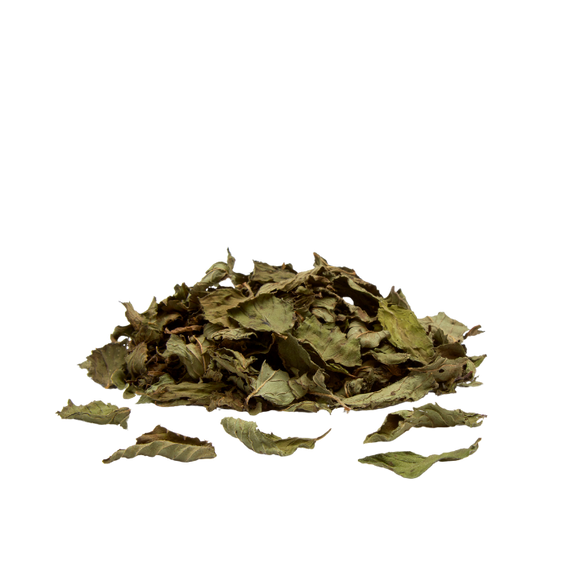 Peppermint Tea Leaf