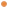 Thumbnail for Wuyi Oolong