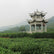 Jingshan Garden