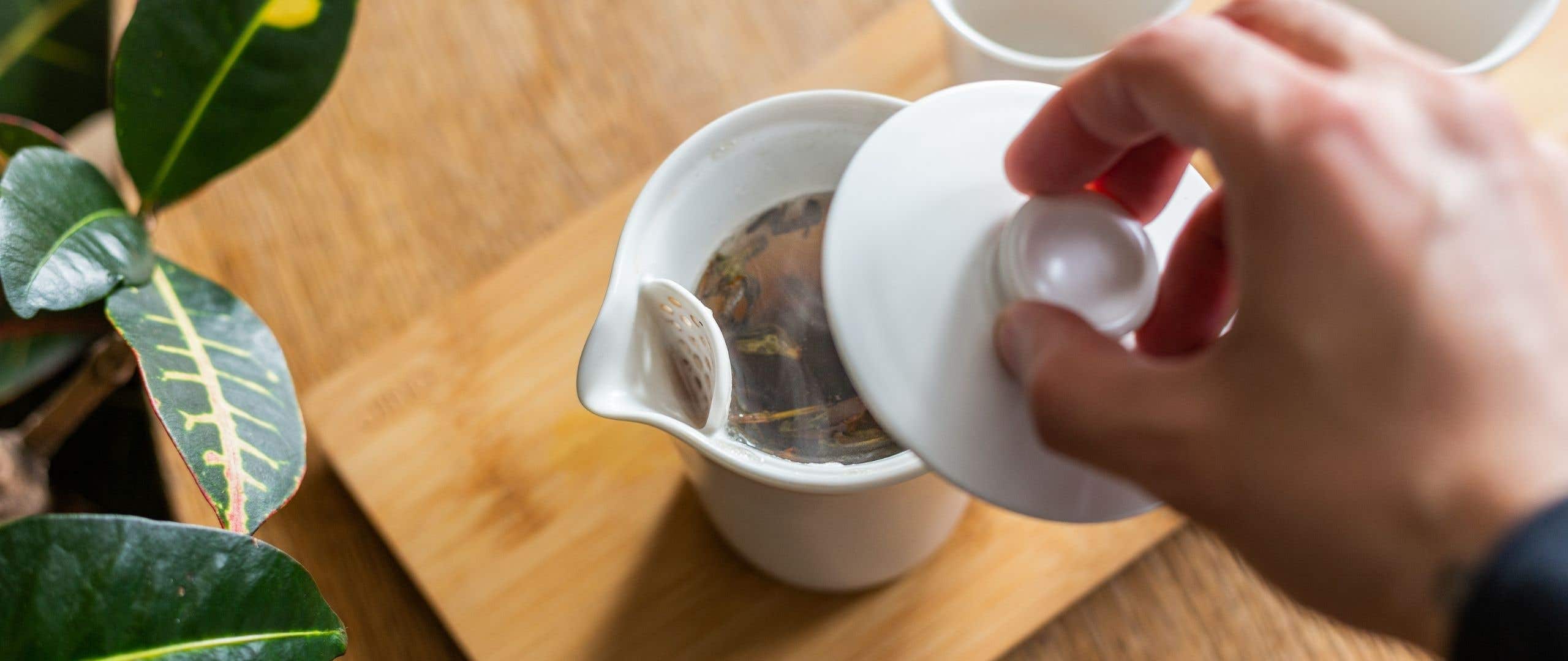 Organic Phoenix Duckshit - Loose Leaf Oolong Tea Leaves - JING Tea