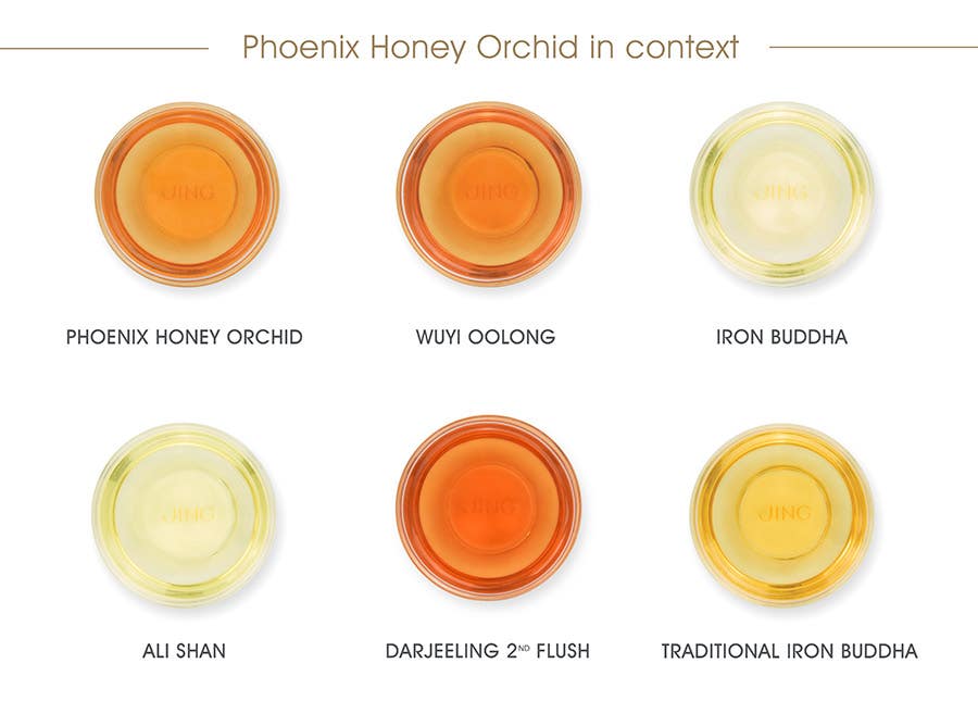 Pheonix Honey Orchid_In context