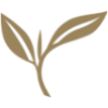 loose leaf tea icon
